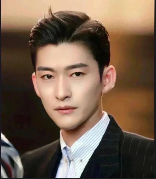 张翰被拍就医后前往移民局，引发热议。他参加湖南卫视的综艺花儿与少年在国外录制的那