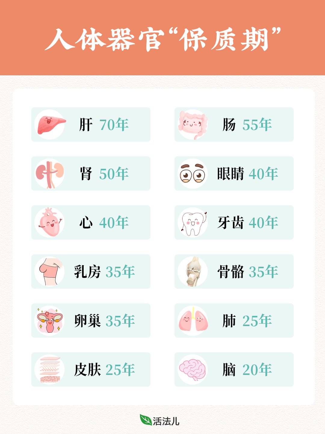 人体器官“保质期”🍃