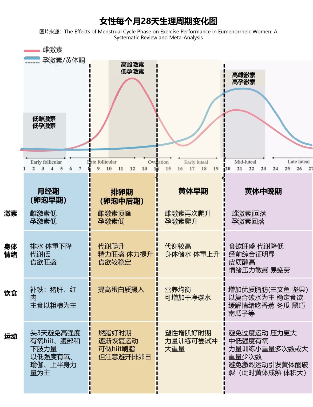 月经期洗澡停经 下丘脑对温度敏感 女生 28 天生理周期藏着身体密码，跟着激素变