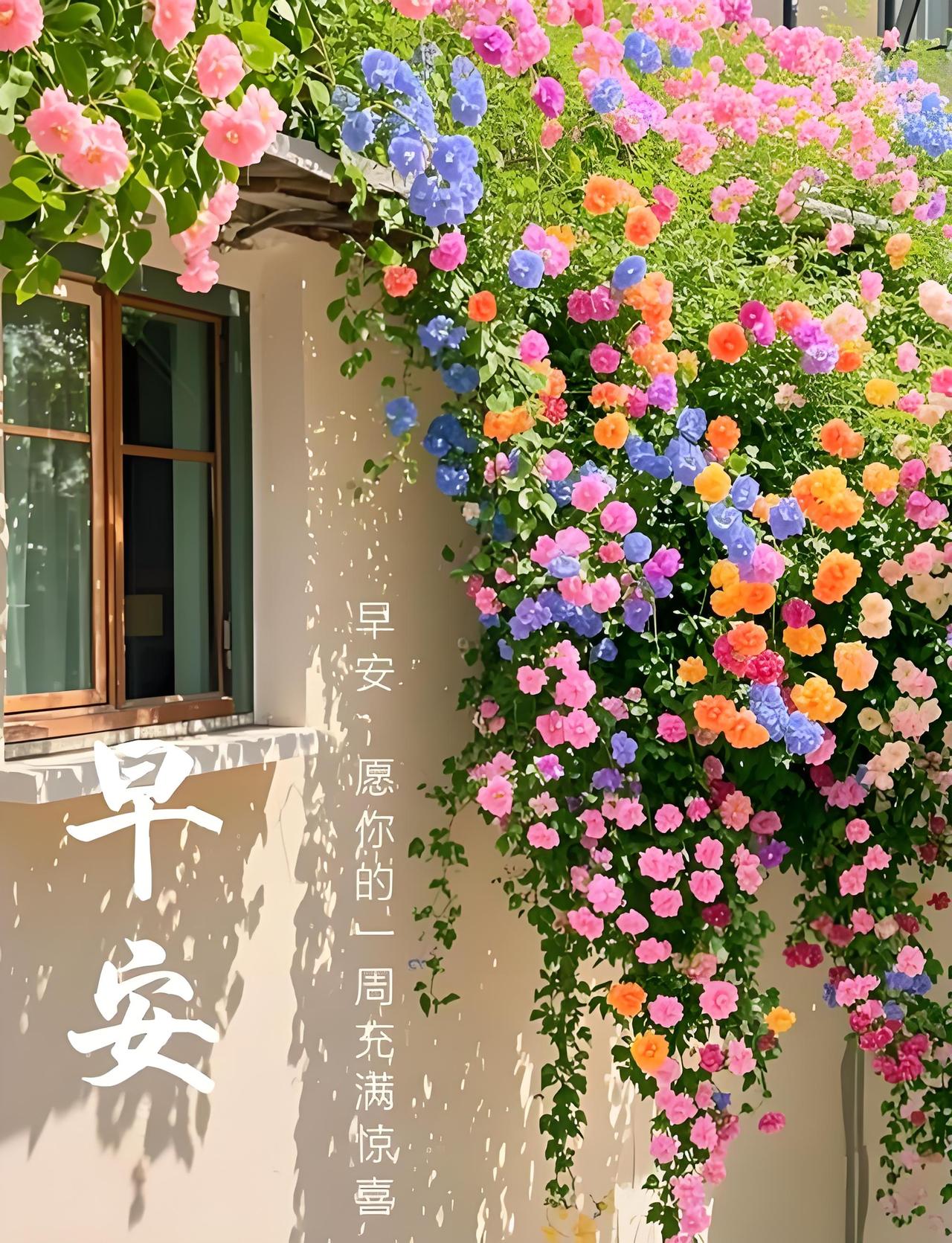 🌞 周一早安！是不是感觉身体在工位，灵魂还在周末？

这像极了古代官员的 “大