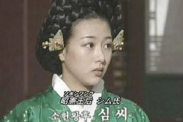 朝鲜世宗11 和昭宪的嫡子女们