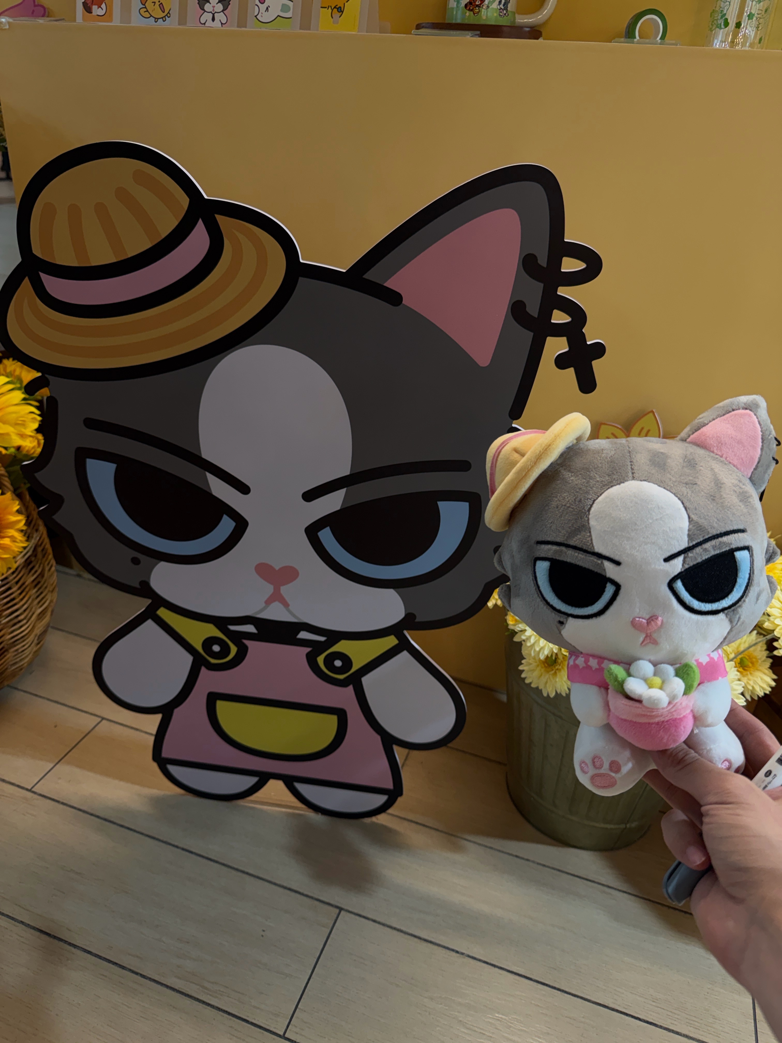 臭脸猫 ​​​