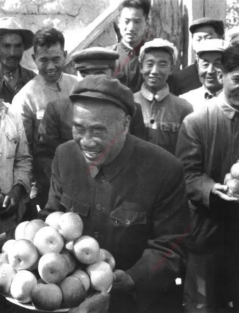 1958年9月16日，时年72岁的朱德同志在伊犁视察时，专门前往当地的春花果园进