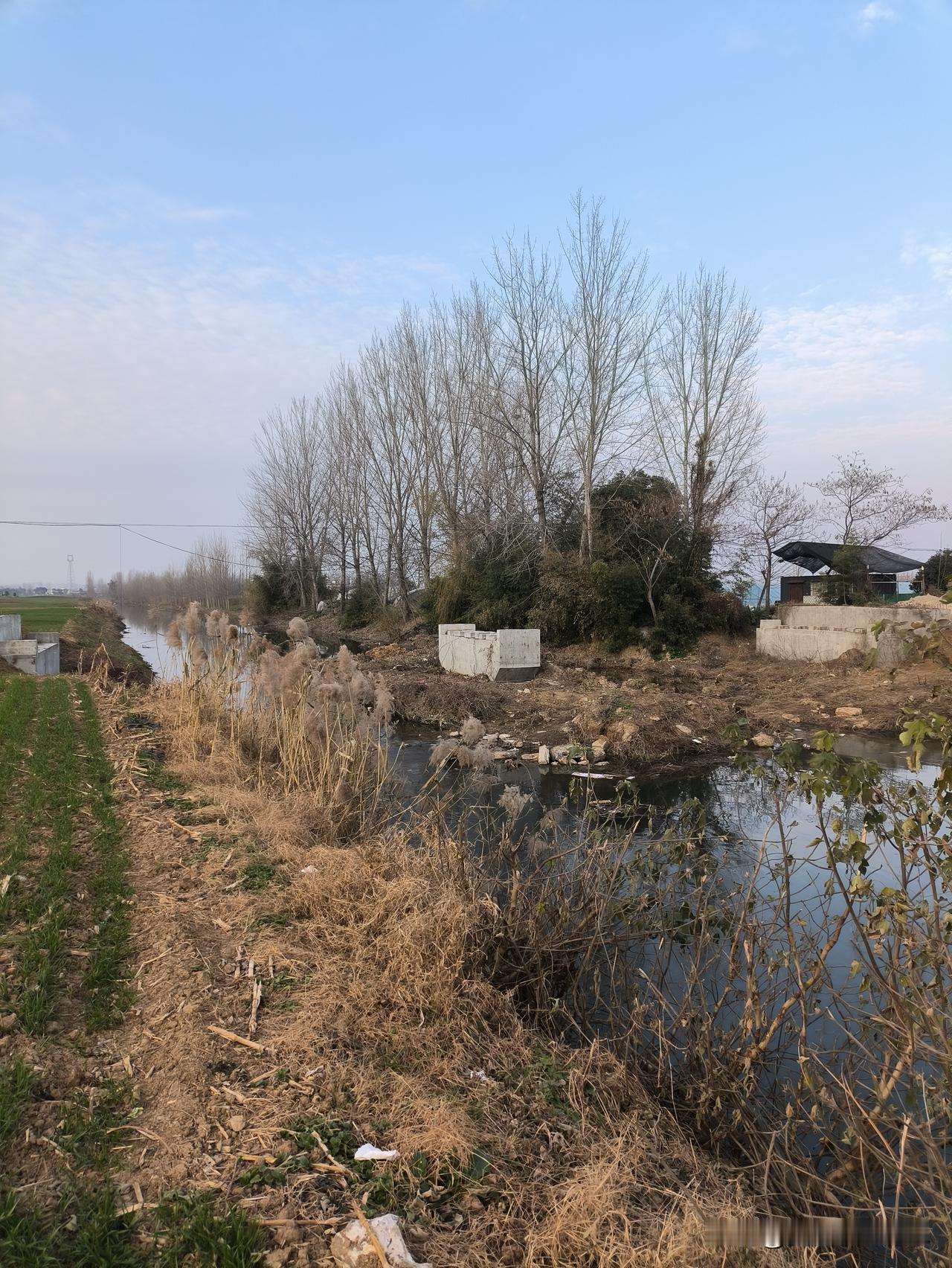 我讨厌说话没有准确性的人！
更讨厌言而无信的人！
欺骗我的人，哪怕是只在言语上，