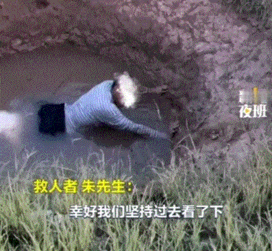 济南，一放羊老人为救羊不慎掉进一深水坑，期间老人的两只狗子也只能无奈又焦急的死守