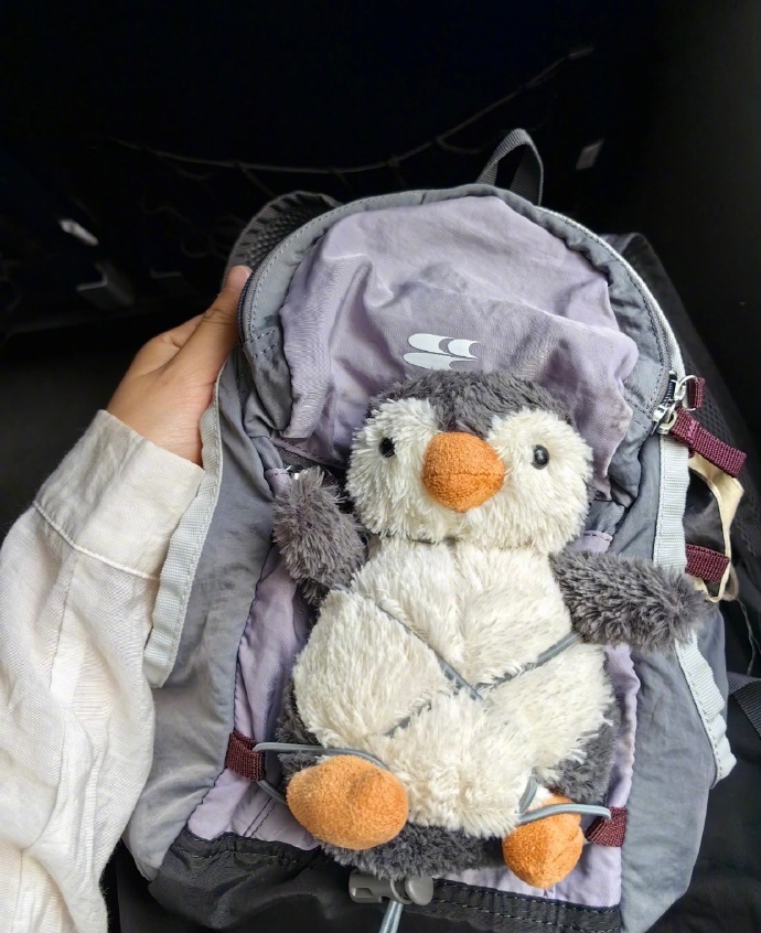 户外人那些没用但一定得带的装备 有些娃一看就是被迫上的山 户外人每上一次山就会有