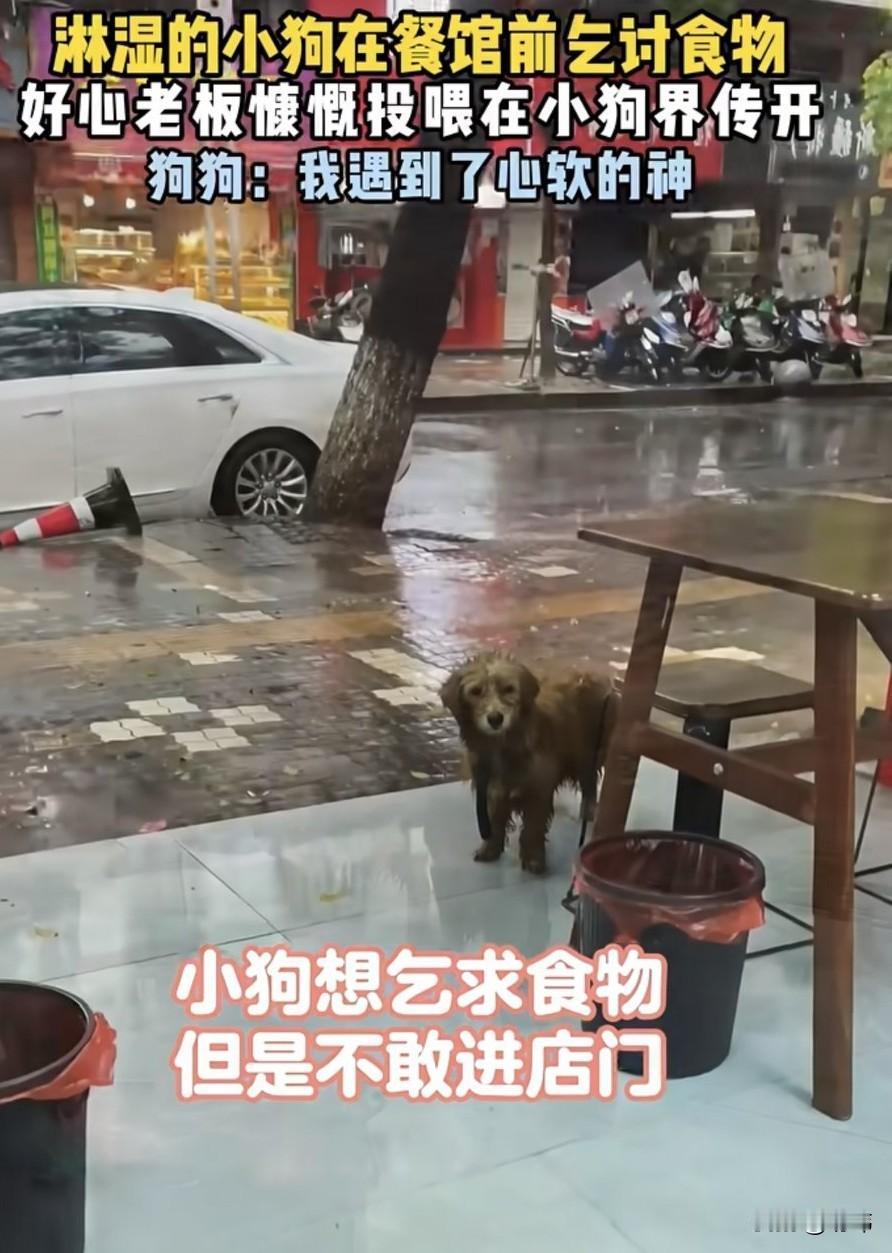 泪目了！一位大哥开了一家面馆，平时生意也还可以。这天是个雨天，他的面馆比较空，没