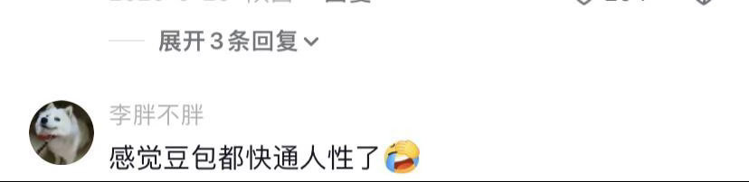 怎么不早说豆包还能帮我面试当代大学生有自己的面试邪修后悔没早点挖到豆包面试模拟功