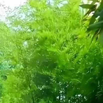 拨开迷雾的勇气、穿越风暴的坚定、日复一日的奔赴……当你心向璀璨，全力奔跑，光便在