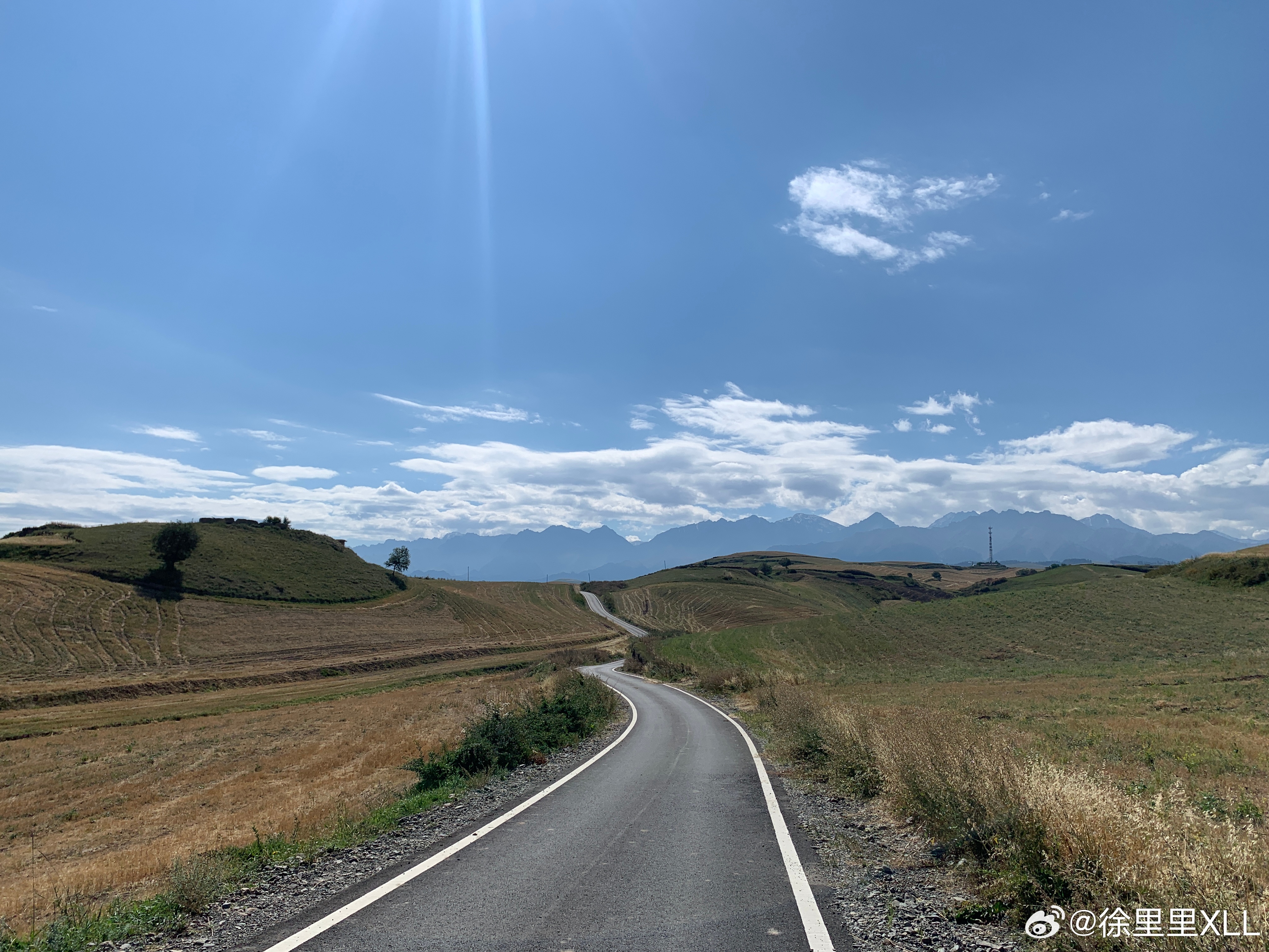 过几天去浙江莫干山试驾一款纯电轿车。猜个车吧。我可太喜欢莫干山了。还从来没在莫干