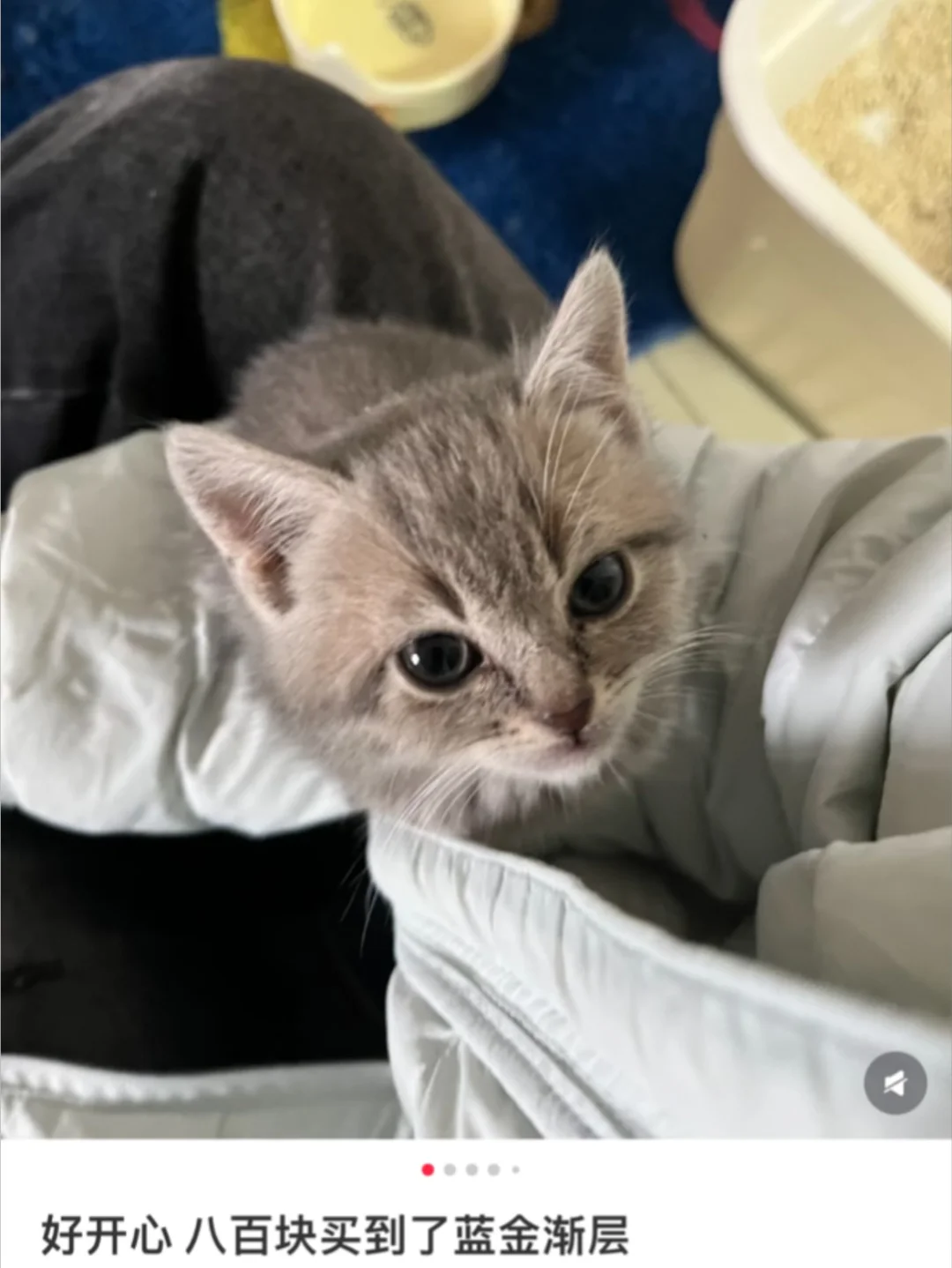 那我的八百算什么？