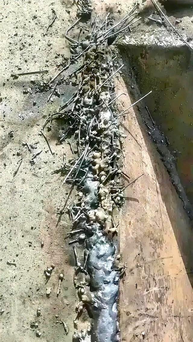 晚上吃过饭和舅舅打了通电话。

舅舅突然提起上个月接的活儿：