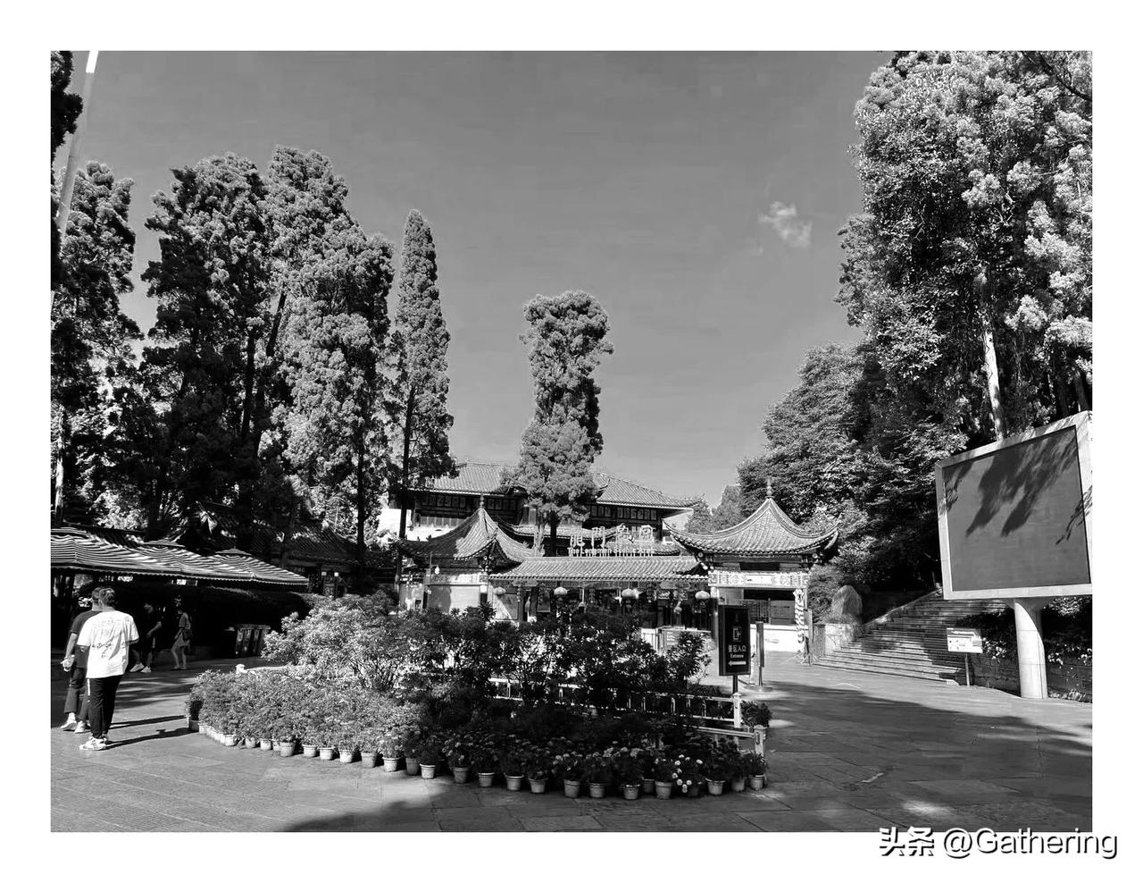 你可千万别把这帮说不参战的欧美兔崽子们看得过于道德高尚。过去他们一直对美国的虚弱