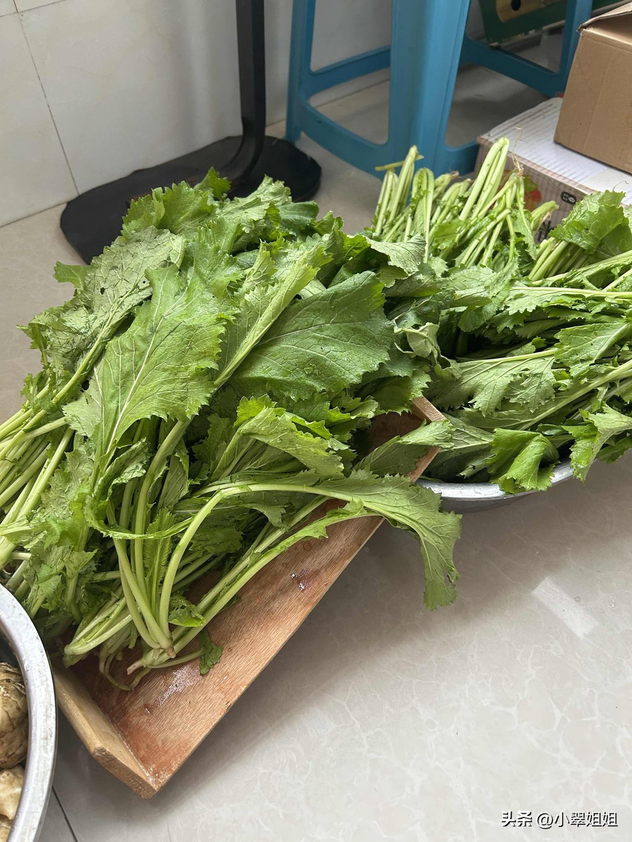 今天我又在早市买了三捆雪里蕻，就为了腌着吃！当咸菜吃！
回到家，我把雪里蕻洗干净