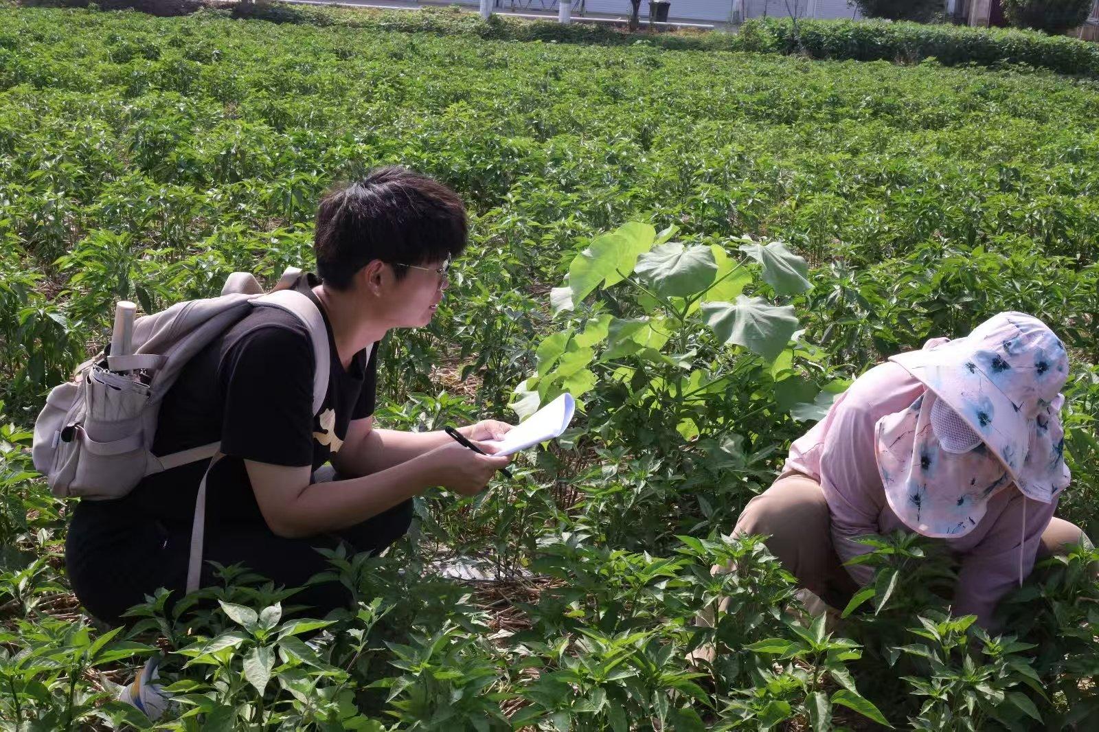 【智耕黄灌千重浪，科技节水万亩春】社会实践 曲阜师范大学 曲园学子三下乡 三下乡
