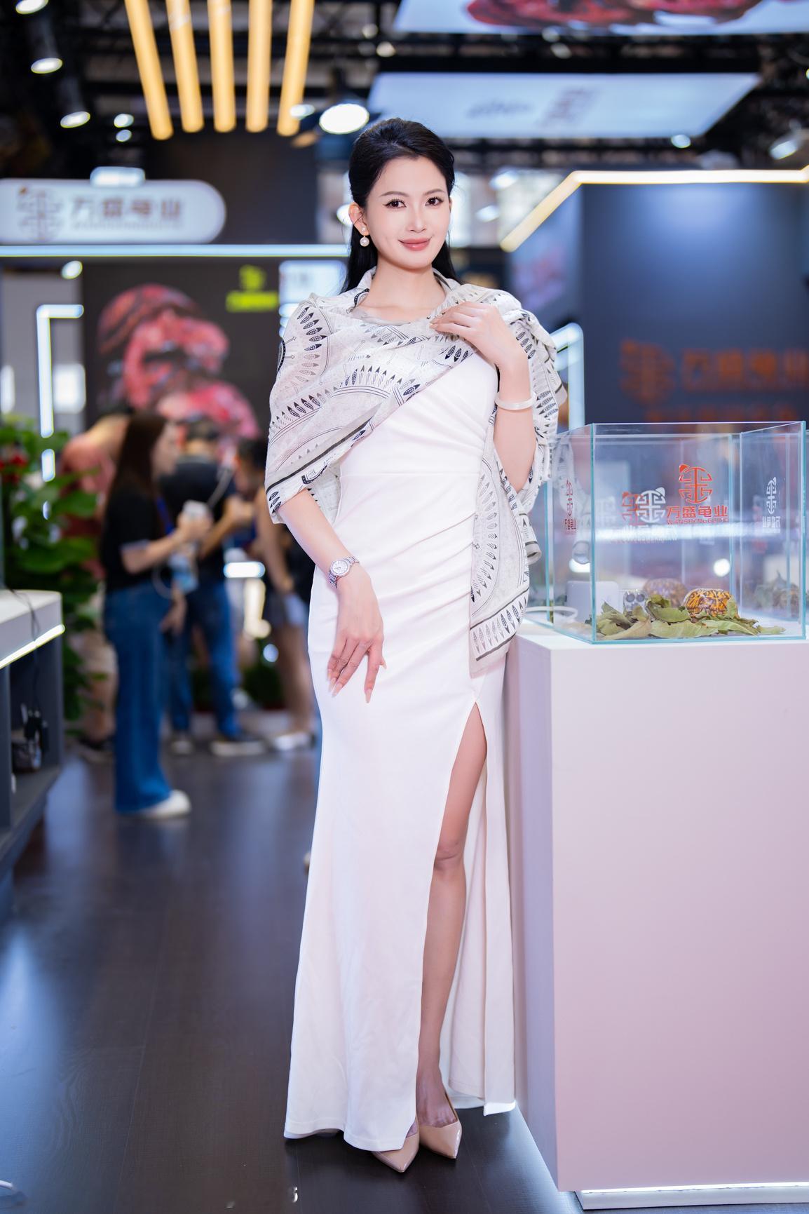 聆听猎人的展会日记聆听拍广州游戏佛山神龟展 2026 广州游戏佛山神龟展想要收藏