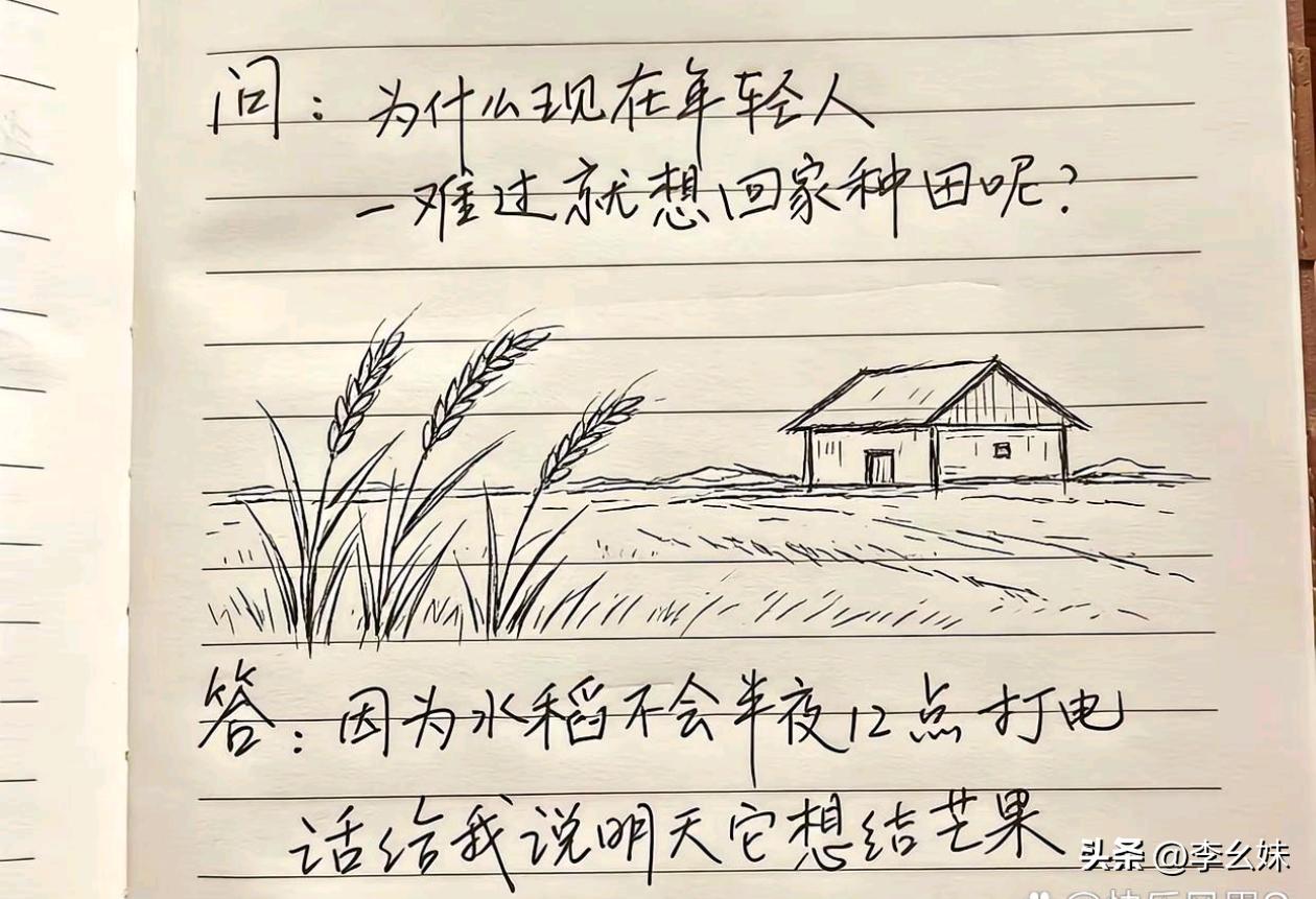 终于找到这个问题的原因了