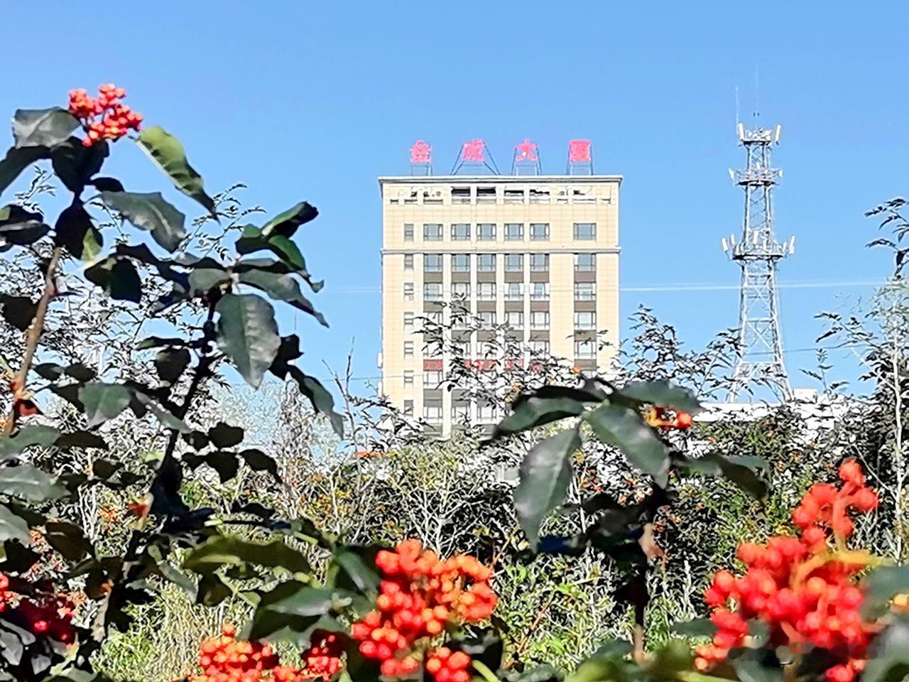 红花绿叶配高楼，风景真美！