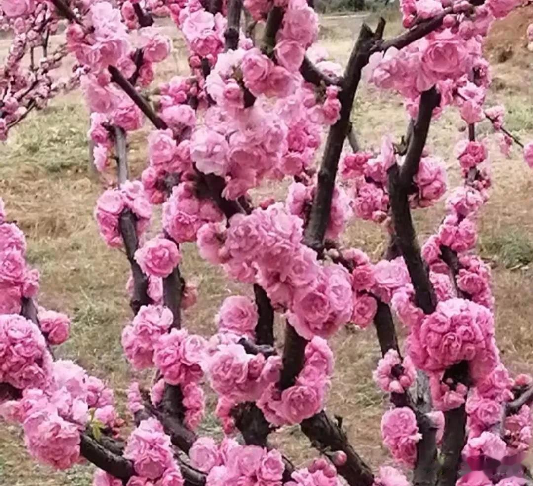 #上联：窗外一街雨，拜求下联#
上联:窗外一街雨
下联:心内满庭芳