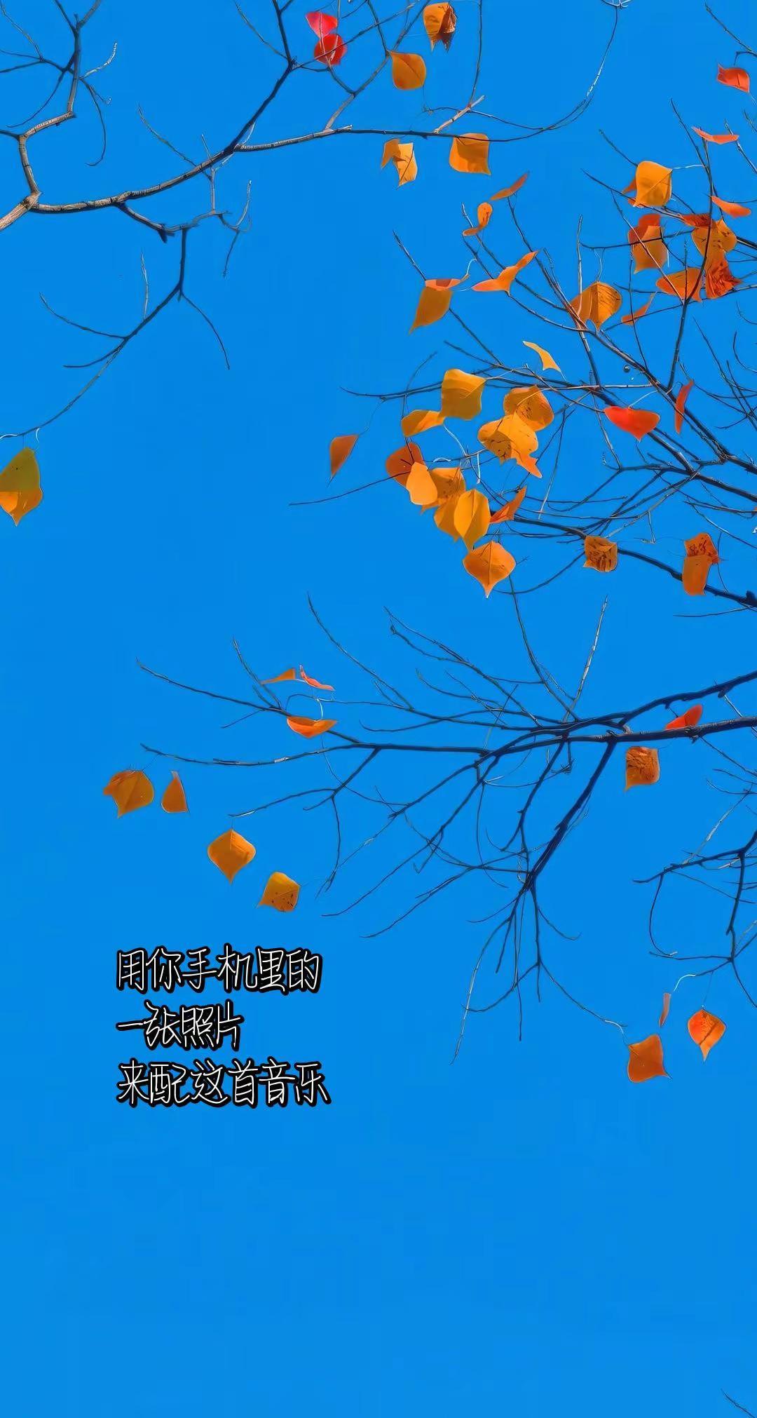 用你手机里的一张照片，来配这首音乐