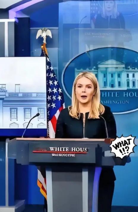 美国被中国再度拒绝了，美国官员很沮丧。

“中国不想跟我们合作了，中国想要实现半