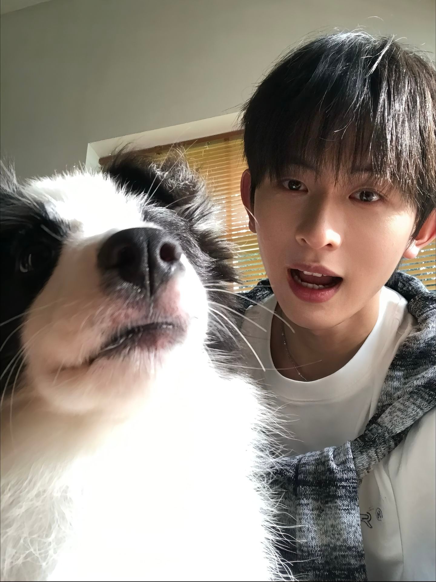 以抛弃小狗为耻🐶 