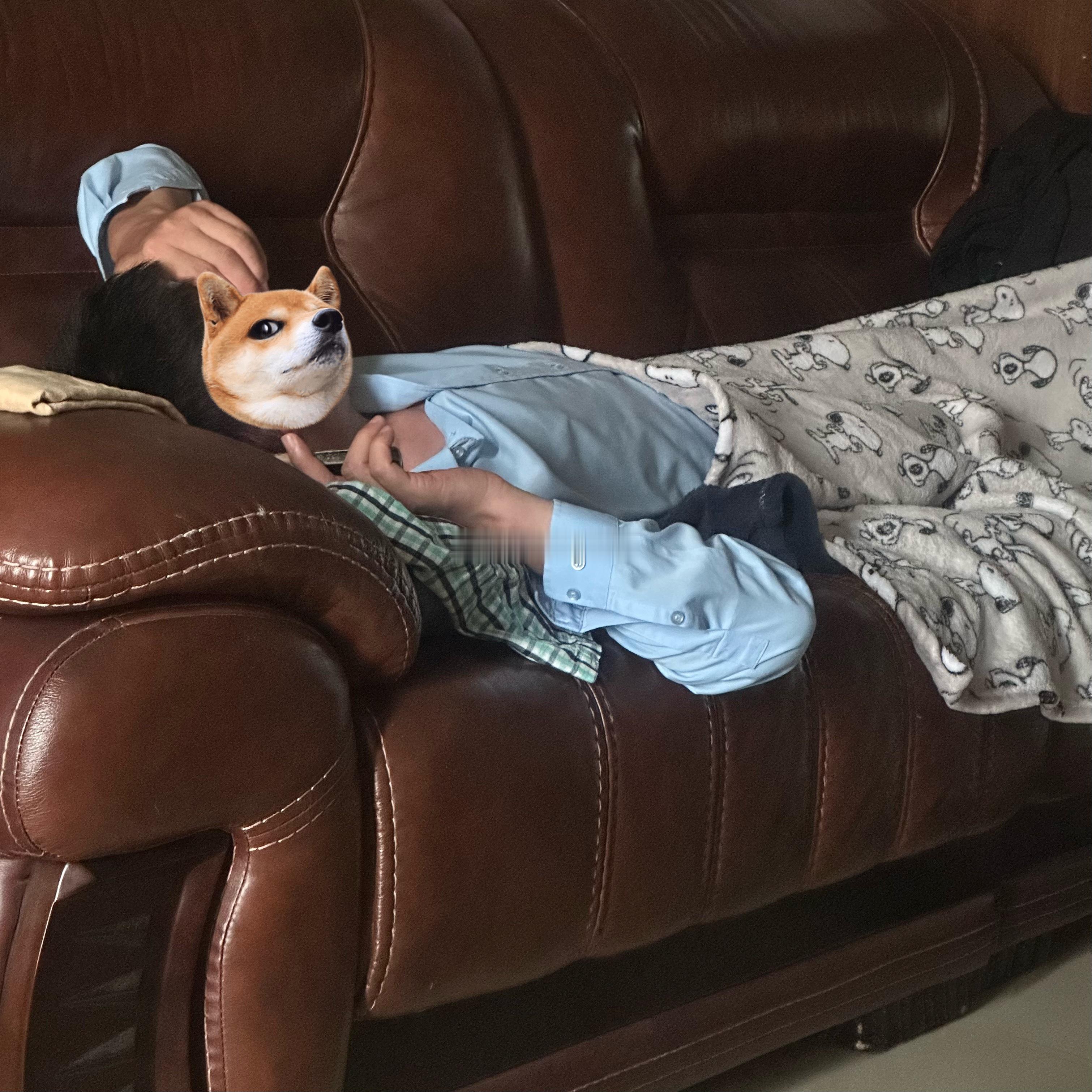 分享新鲜事 ​​​