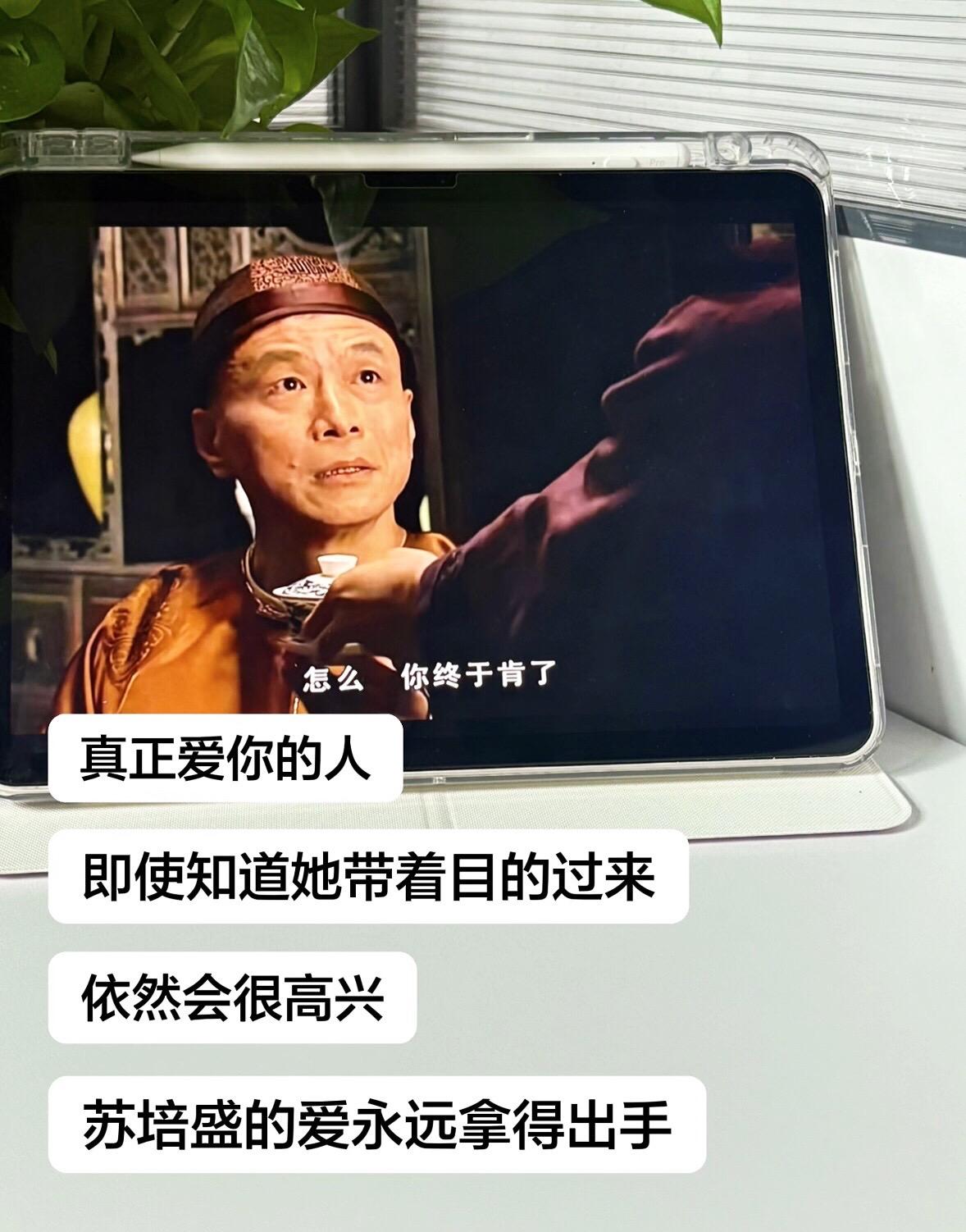 真正爱你的人。即使知道她是带着目的过来的 依然会高兴 苏培盛的爱永远拿得出手