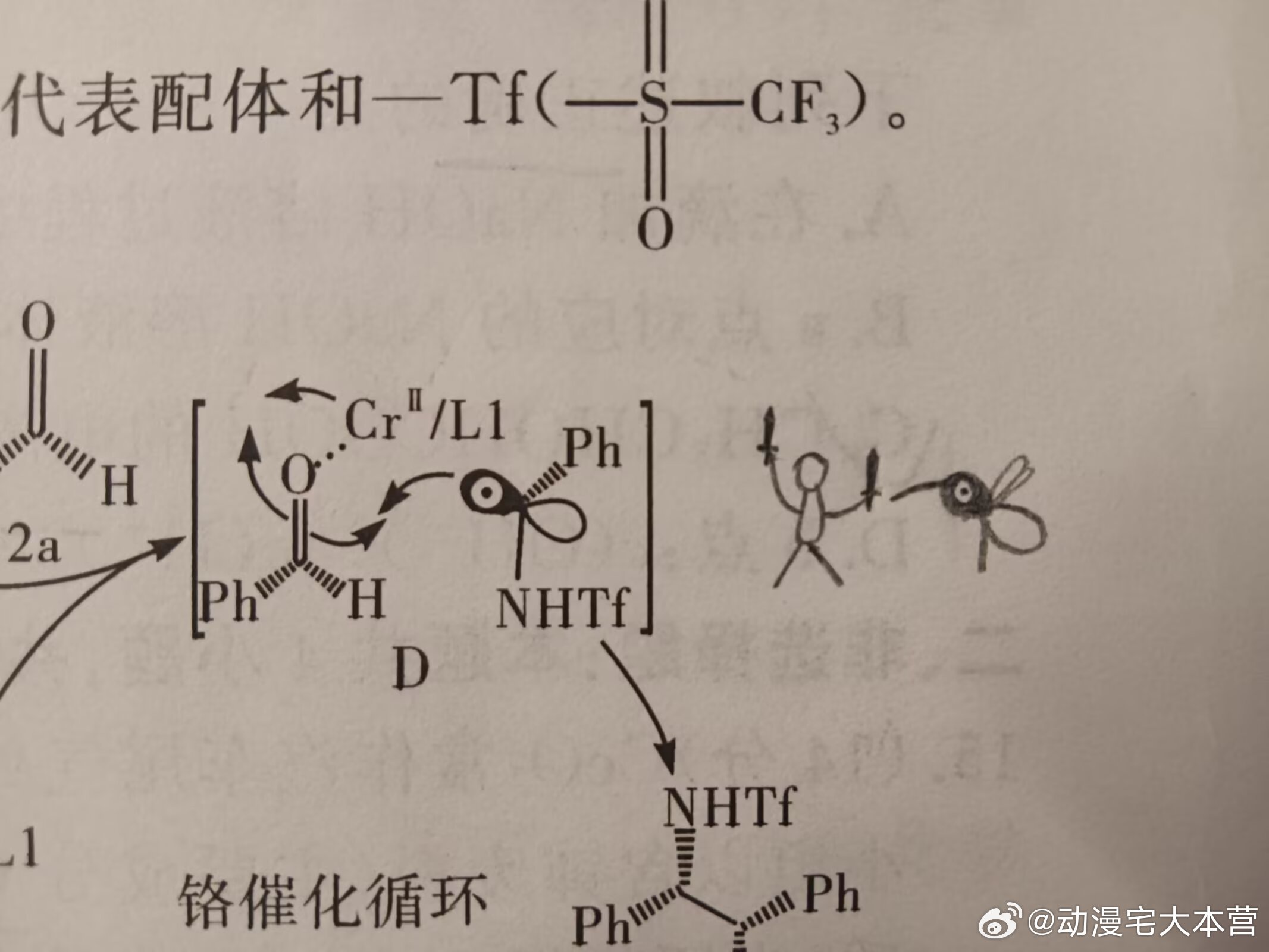 同学：这是什么键啊没见过我：你不觉得这个很像人类大战蚊子吗 ​​​
