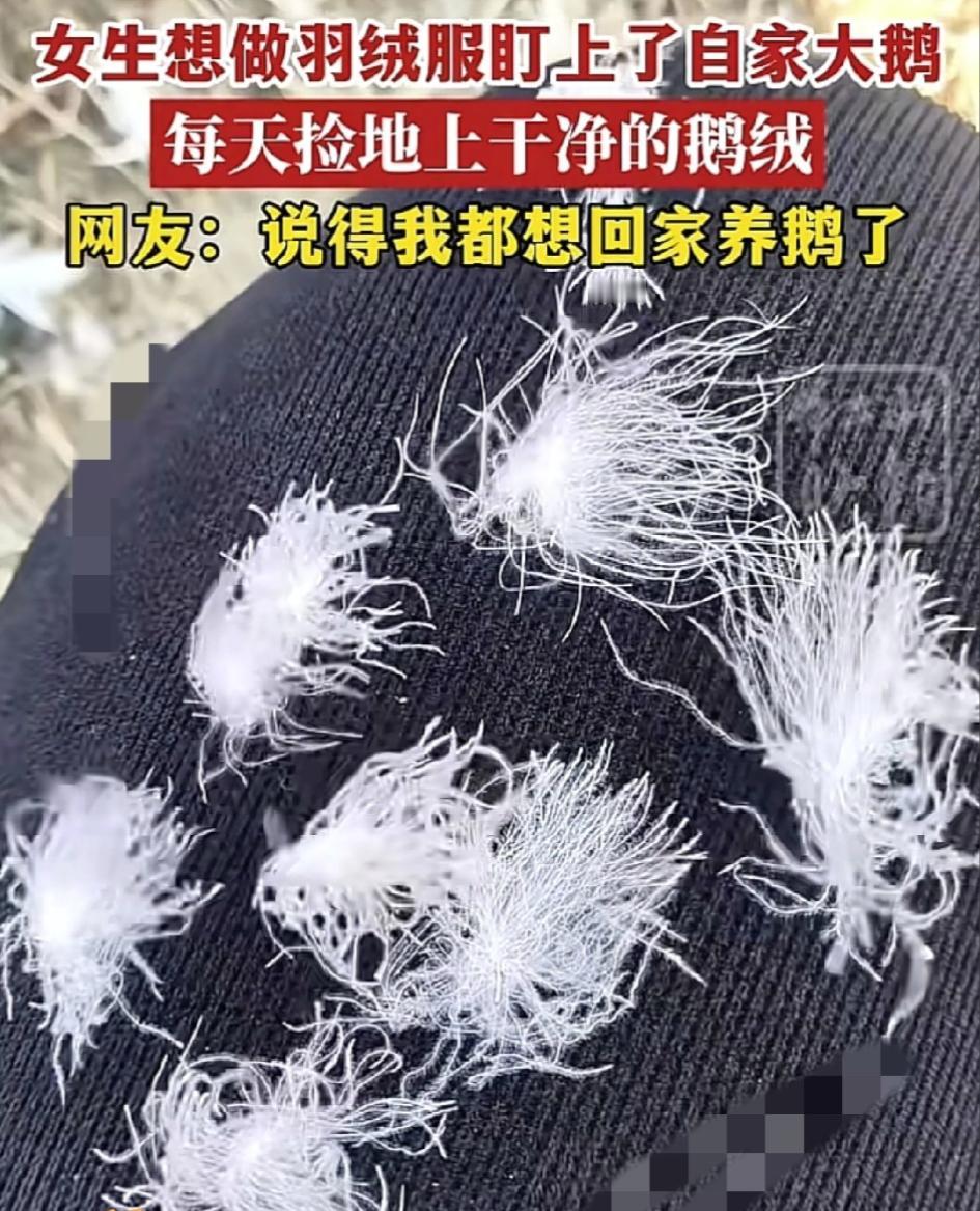 这是真有头脑！河南信阳，女子逛商场时发现羽绒服已经四位数，实在不舍得购买，于是灵