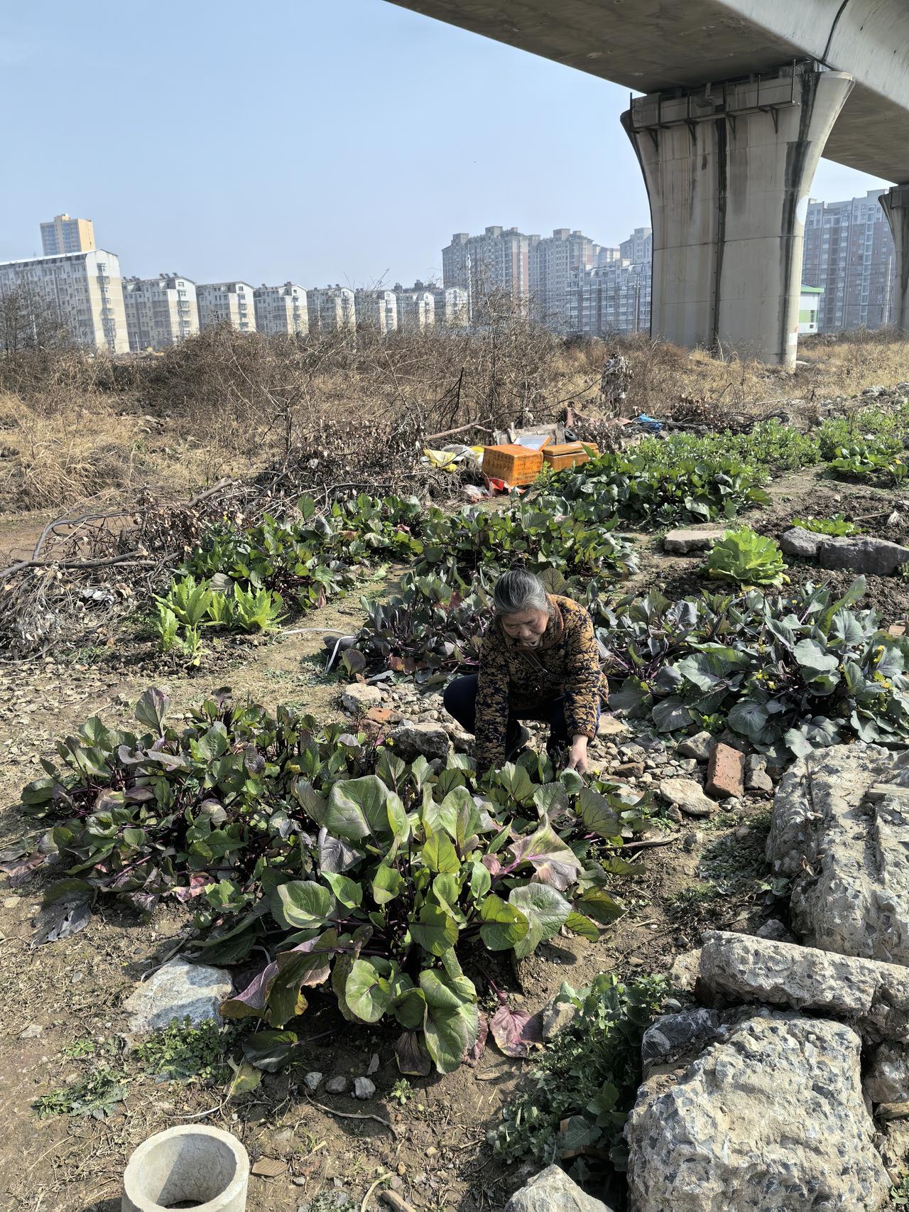 未来20年世界格局充满变数。美国的国际角色演变难测，很可能失去霸权地位，变成“平