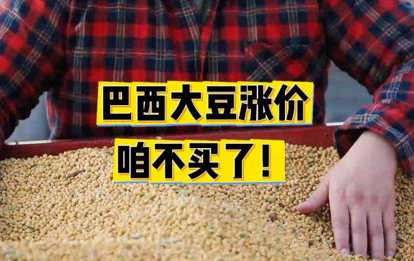 没有美国的命，别患美国的病！

巴西这次的操作，简直把这句话演绎得明明白白。
