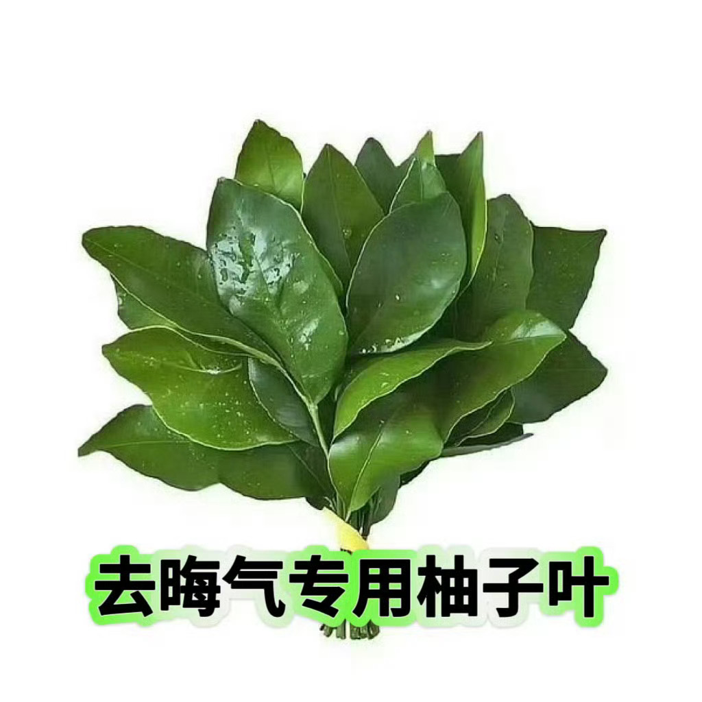 黄虾要4️⃣啊水漫金山了没皮没脸褂见退退退 