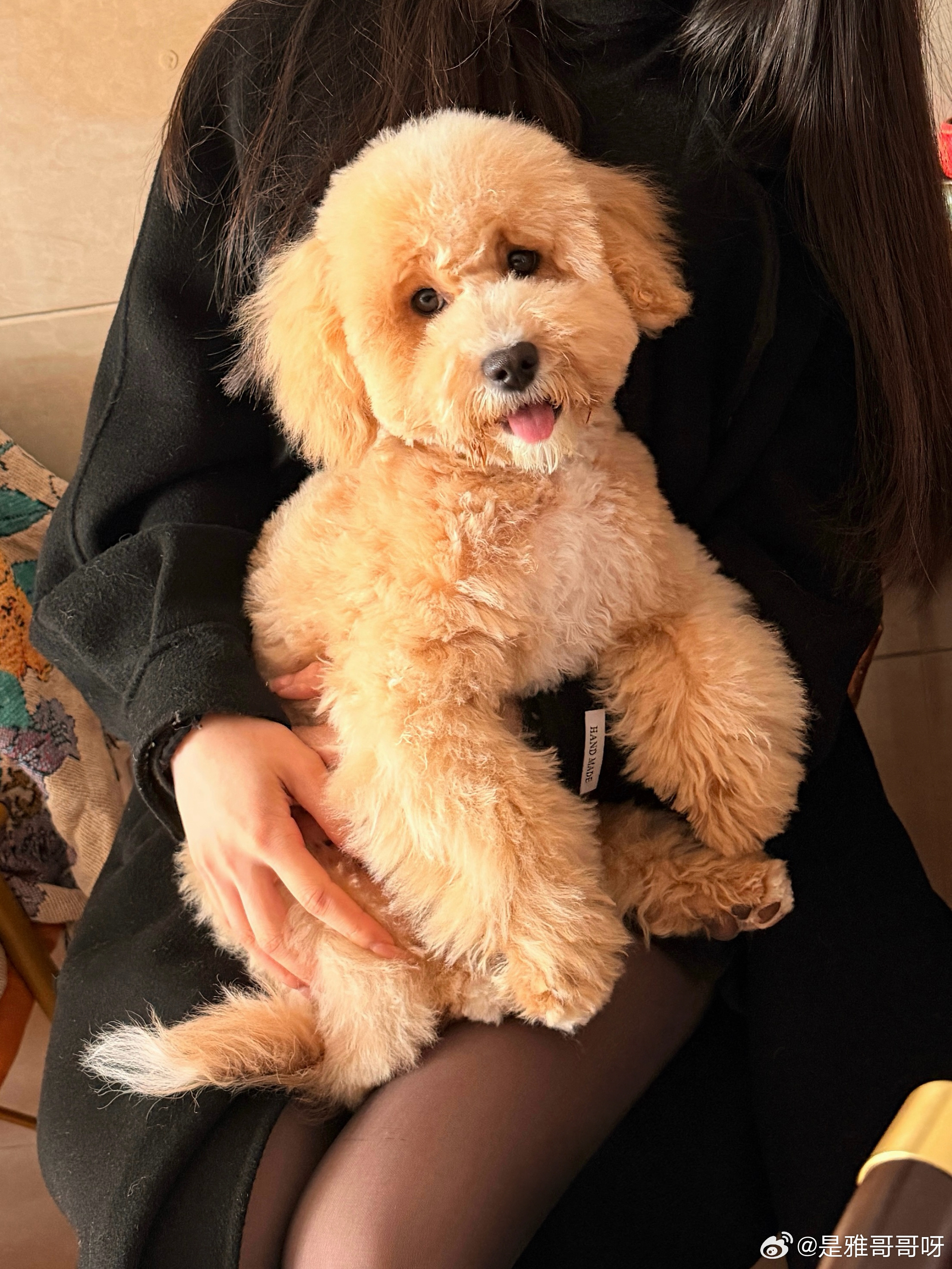 又是一年生日🎂 