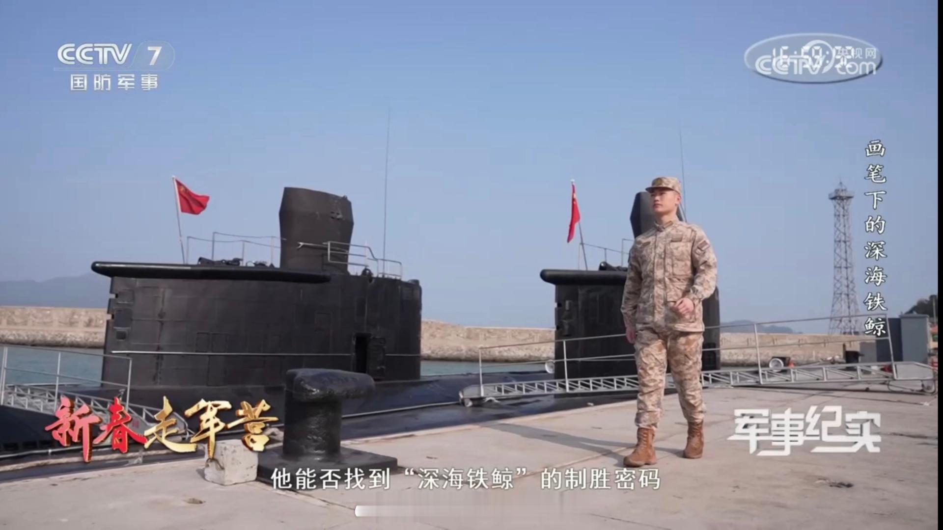 看起来是你鳖老宋在演习里把毛子20380给咬死了:地处南国的某支队（035B+0