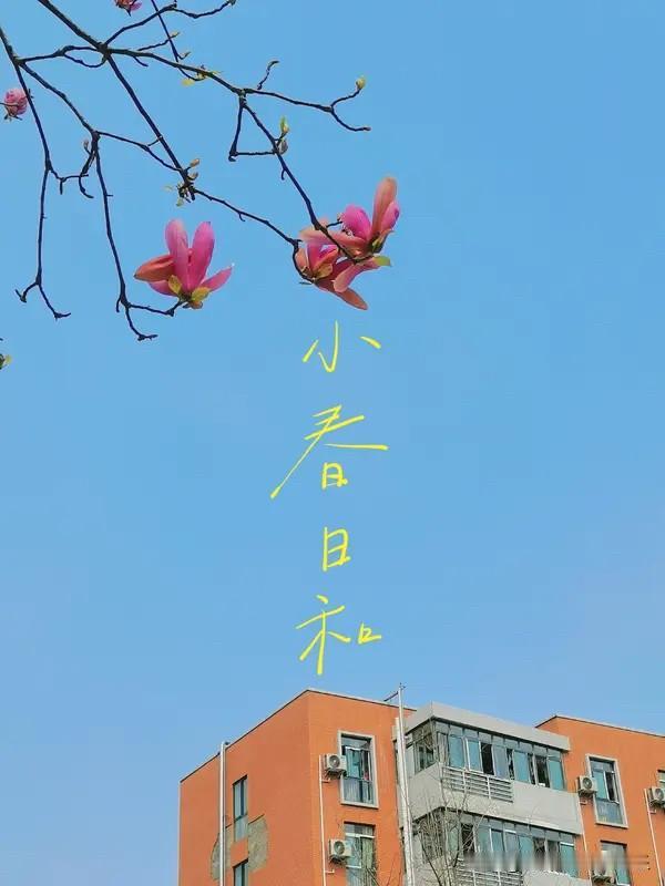 现在楼市里面短炒的那些人还是挣钱了。
就拿这个小阳春来说。
很多短炒的人都是只持