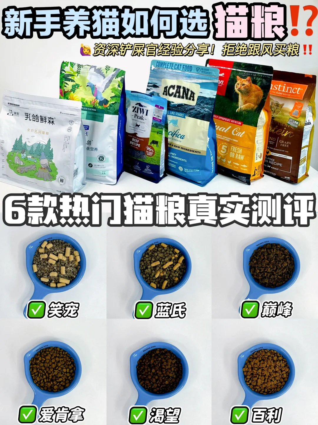 6款热门猫粮测评｜新手选粮不走弯路