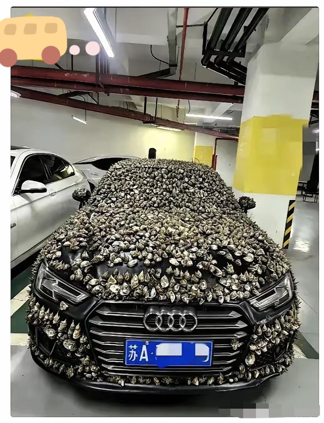 “一分钱不要，也得让你长记性！”江苏陈先生的专属车位被奥迪霸占十天，忍无可忍之下