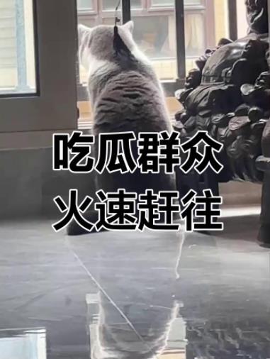 曝知名导演疑似与年轻女子同居 知名导演疑似与年轻女子同居，这也能成新闻？对于那些