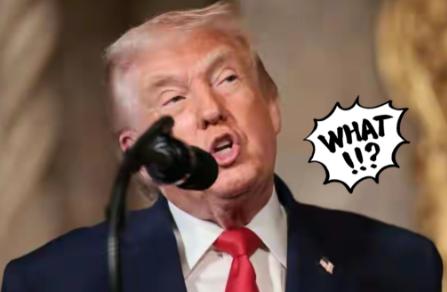 美国这次脸丢大了！！！

美国想扣押委内瑞拉往中国运送原油的贝拉1号，结果追了几