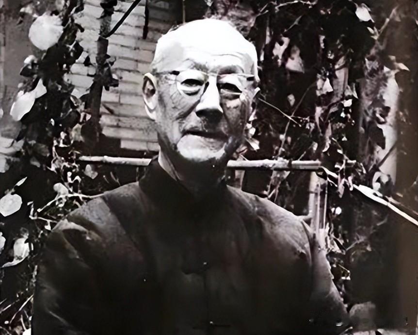 袁世凯长子：金条扔门外，银刀叉啃窝头

日本特务拎着50根金条上门，被他连酒带金