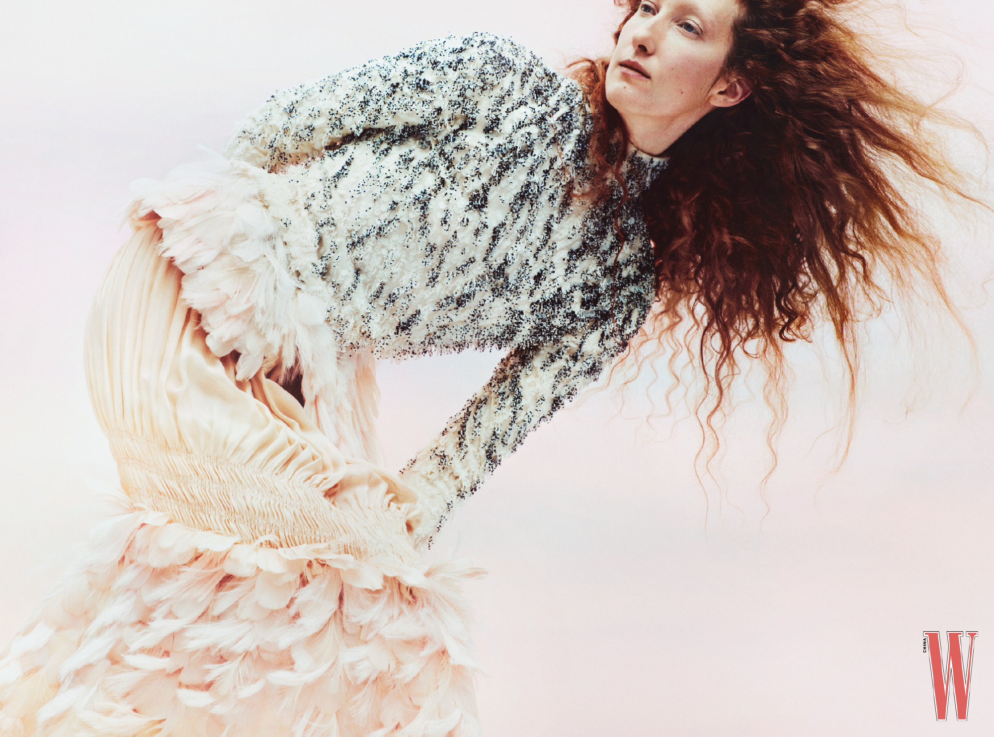 W中文版 【The Art Issue】                    