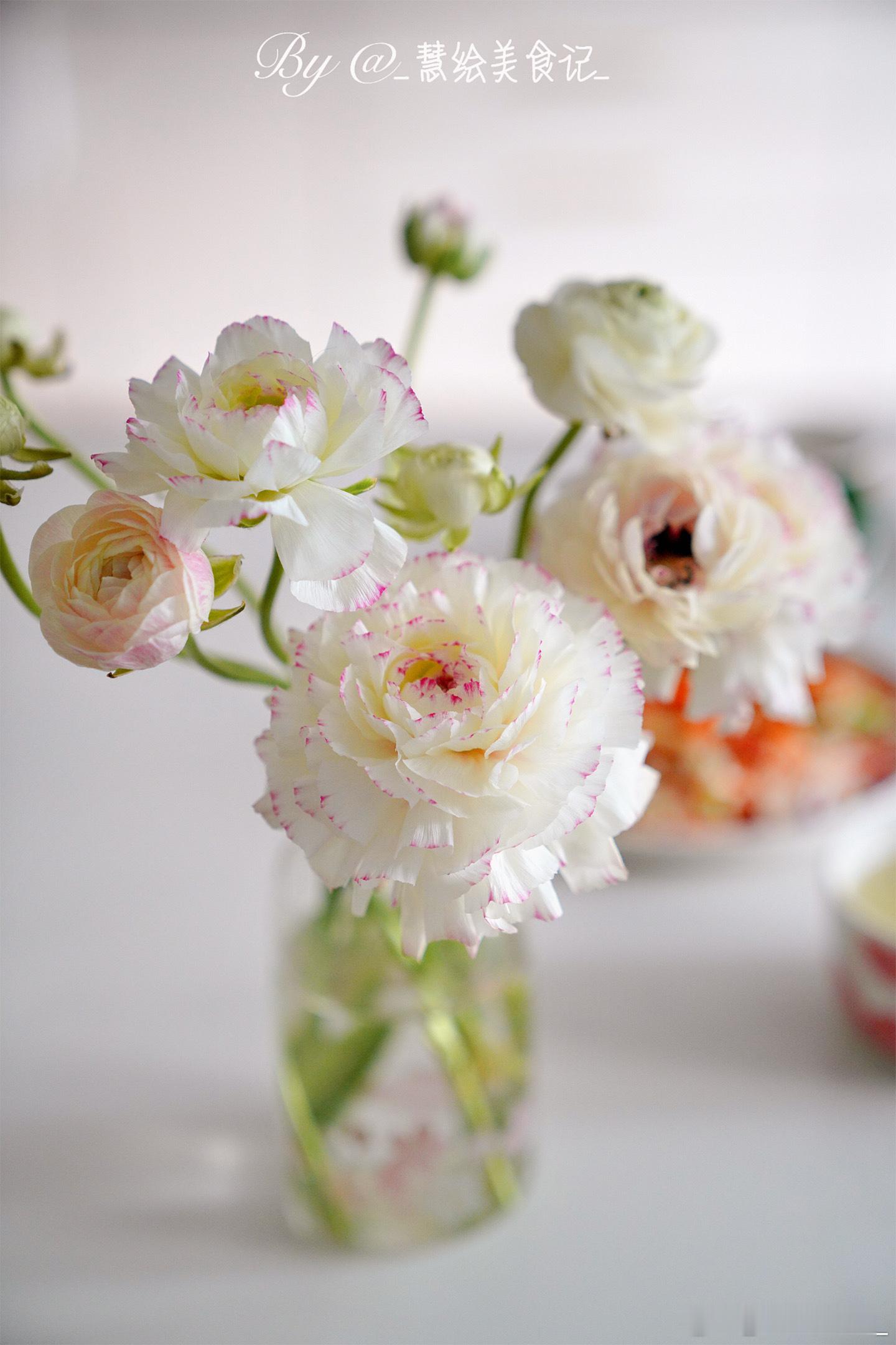 新周好早餐春笋鸡丝、凉拌笋片、小米粥、洗沙粽、豆皮蔬菜鸡肉卷、燕麦豆浆~我的美食