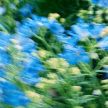 每日一善每日‬一善 阳光信用    正能量，指的是一种健康乐观、积极向上的动力和