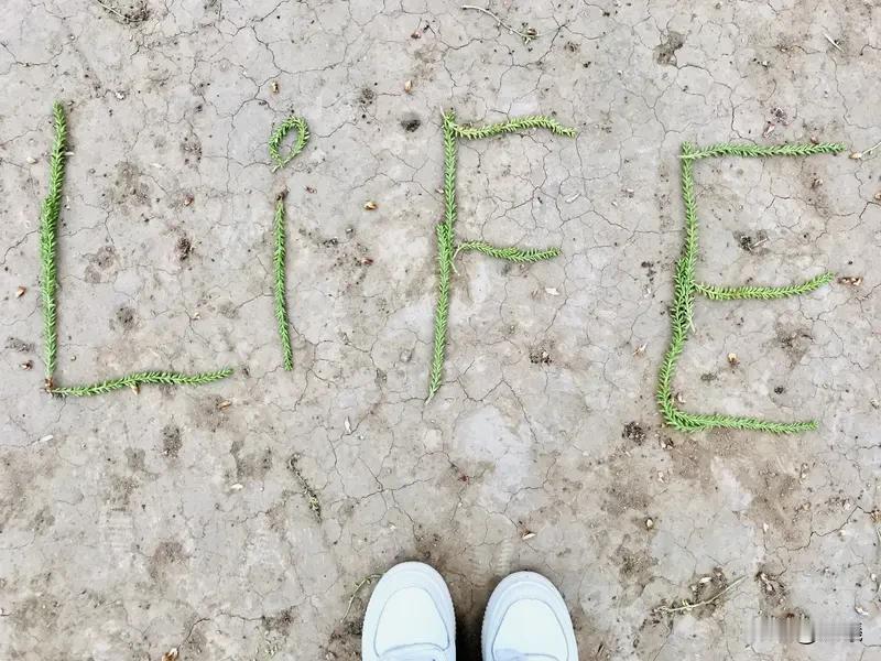 人的一生求什么？其实很简单。人就借副皮囊活一场，不必追求过多。不用有太多朋友，几