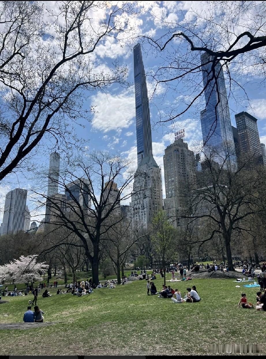 这是纽约中央公园，看着真的震撼，太巨了，这才是摩天大楼的样子。
