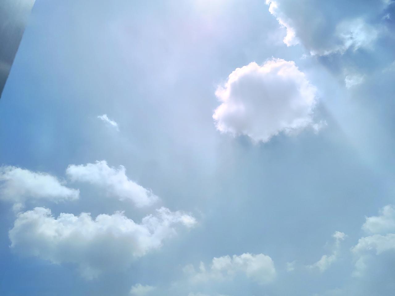 大热天的，顶着太阳往单位跑，这主意真是想一出是一出！

上午在家彻底搞了遍卫生。
