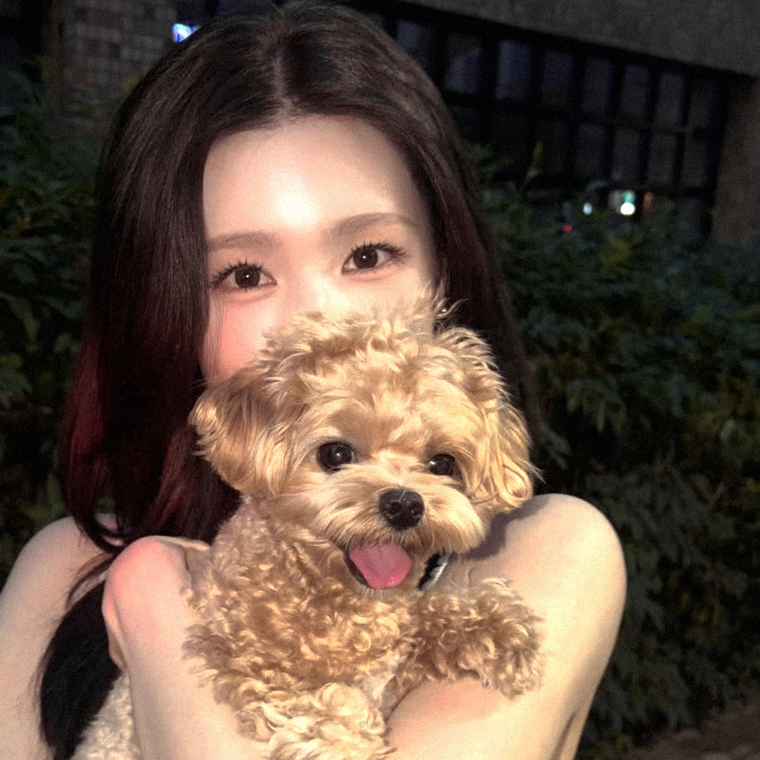 赵美延 Miyeon 