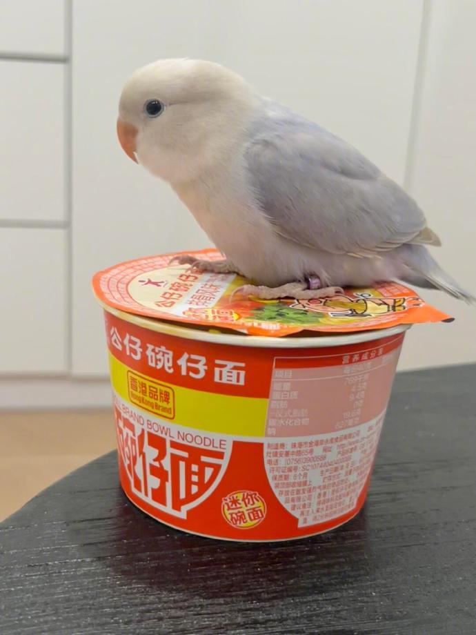 一款很好的压泡面神器 