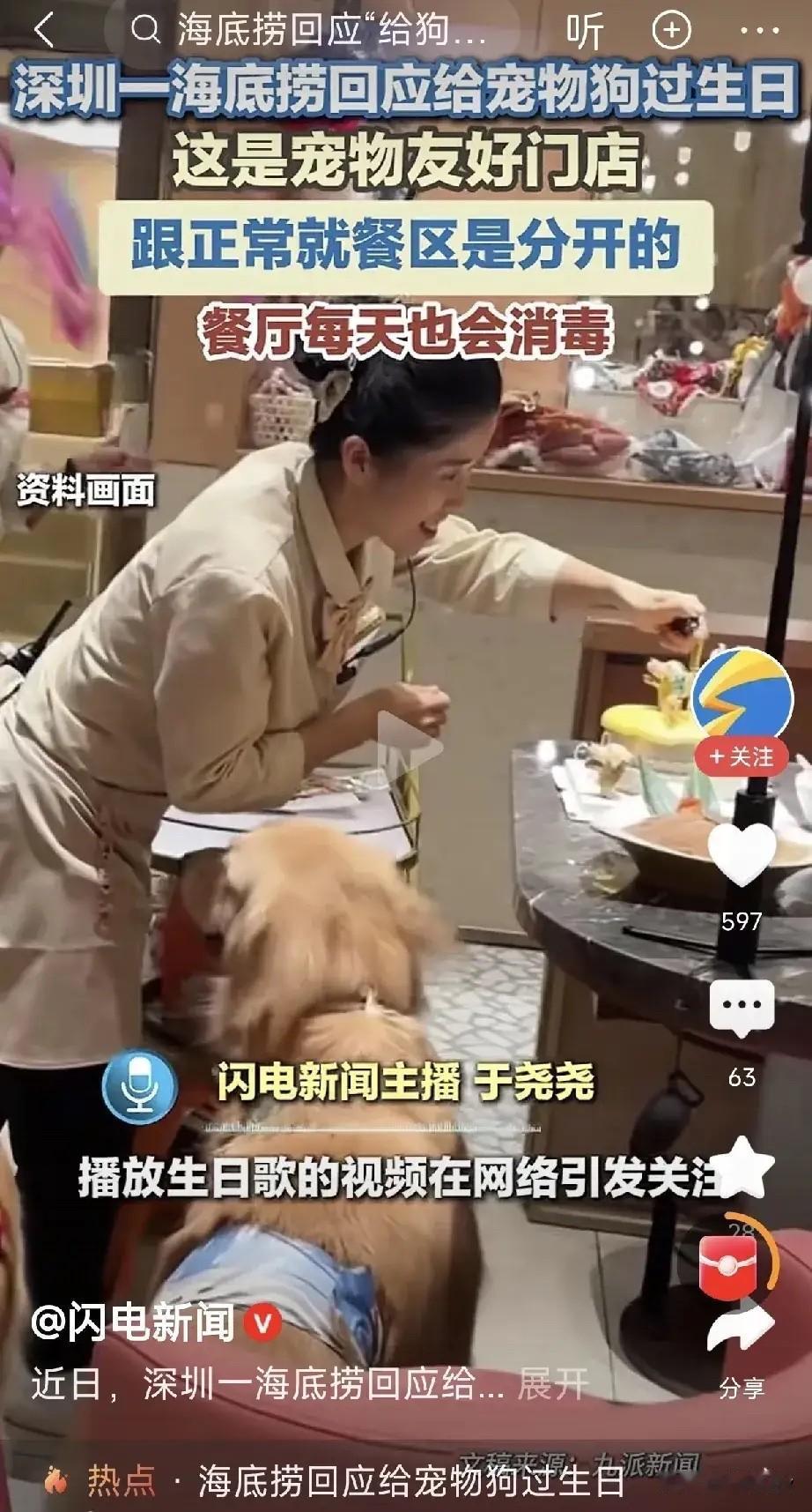 狗狗都到餐厅去过生日啦！
不得不佩服海底捞真是有头脑！不光做人的生意，现在连狗的